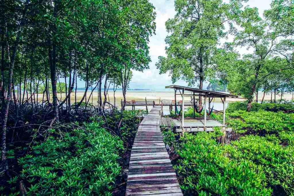 Bananas Resort & Restaurant Tha Lane Bay Luaran gambar
